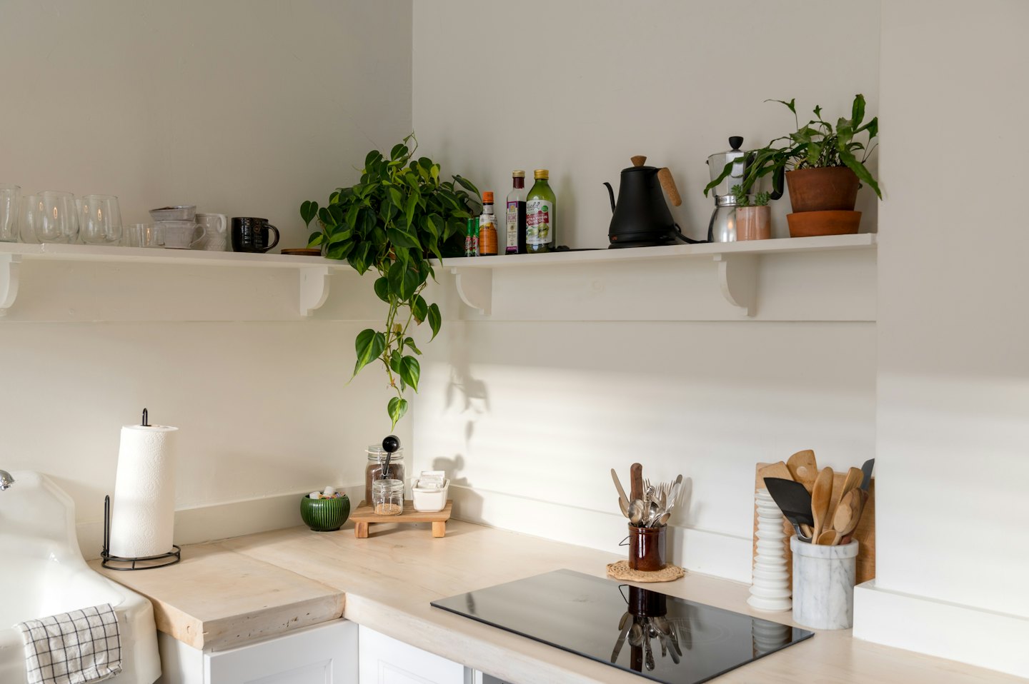 Bright kitchen counter with plants, cooktop, and utensils.